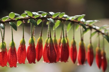 广州越秀区2私人快速借钱网，轻松解决资金难题