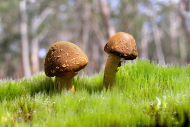 广州越秀区2私人老板放款：轻松融资的秘密通道